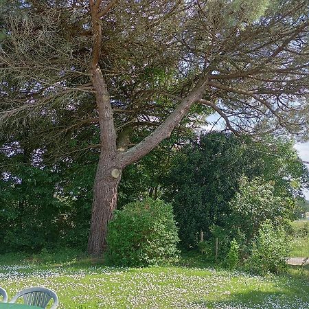 Le Petit Gué - Soleil Couchant Frossay Habitación foto