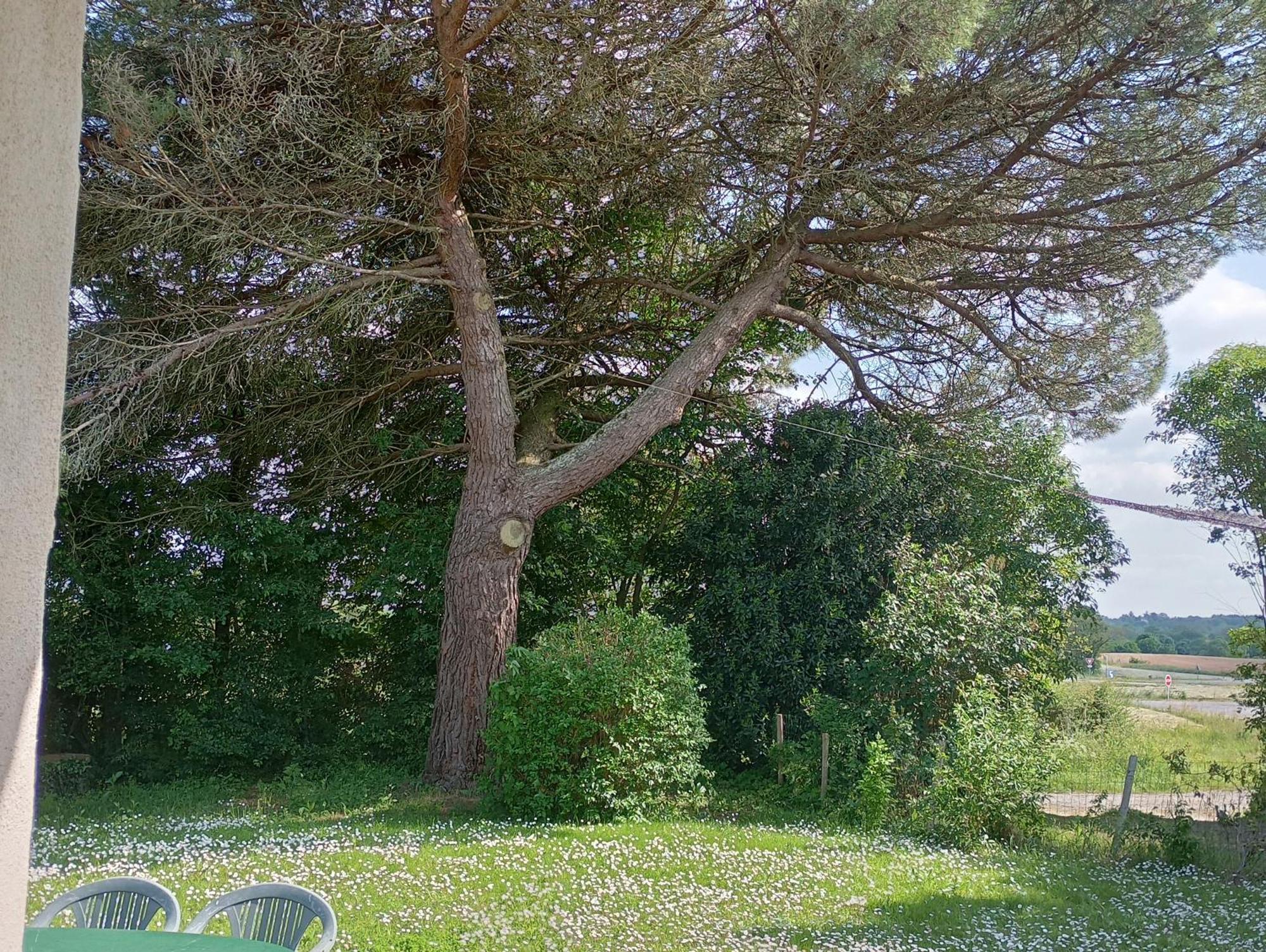 Le Petit Gué - Soleil Couchant Frossay Habitación foto